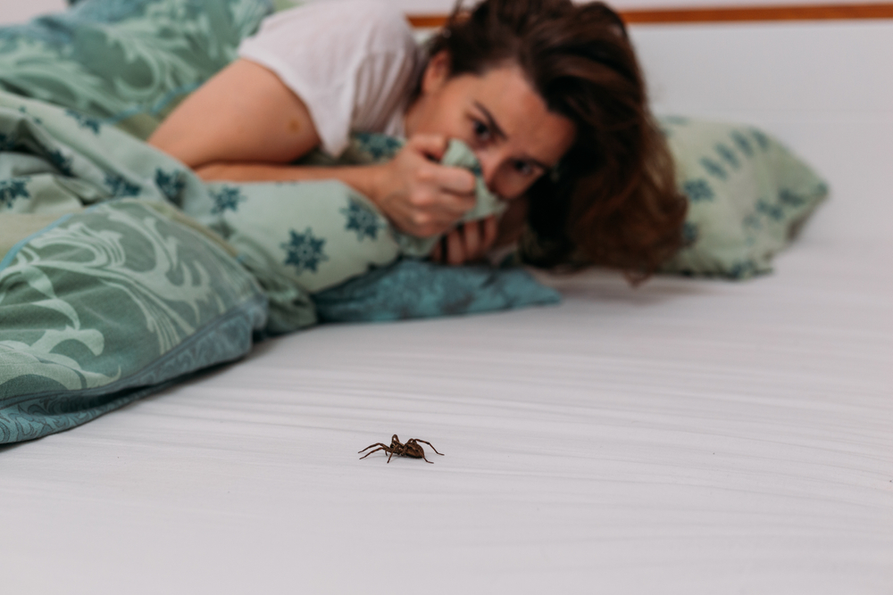How to Get Rid of Spiders in the House: Safe, Natural, and Professional Solutions